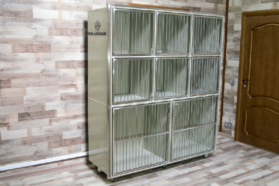 vet22-550x367-1.jpg